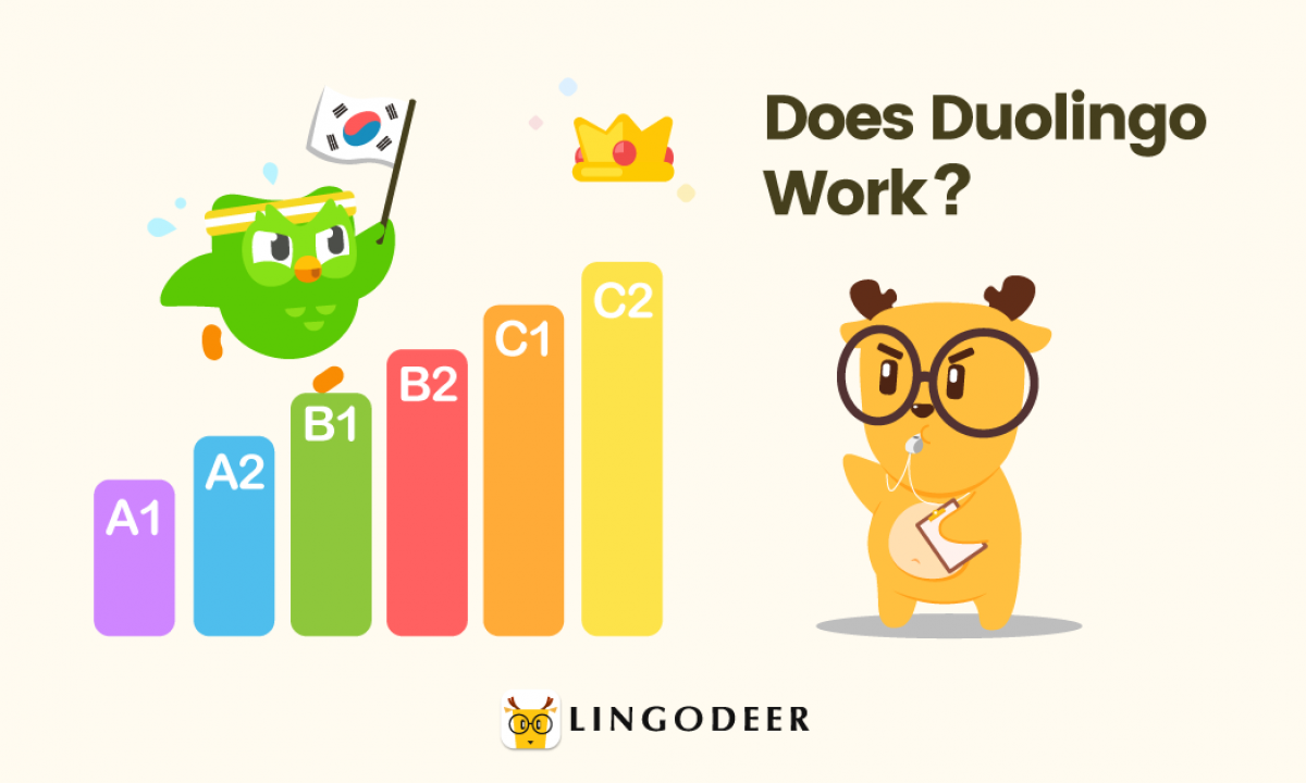 Duolingo Korean Review Should You Use It 2020 Edition